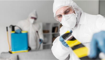 Professional Mold Remediation in Commercial Spaces