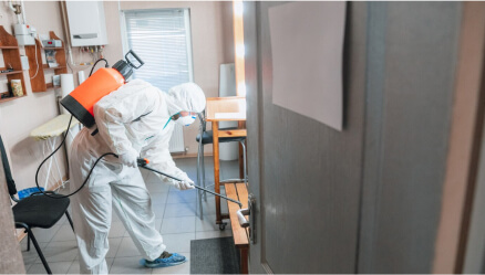 Commercial Property needs Mold Remediation