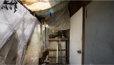 Property needs Mold Remediation