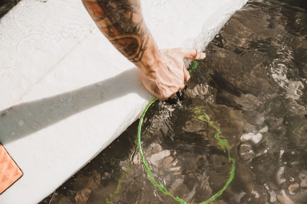 crop-hand-putting-surfboard-water (1)